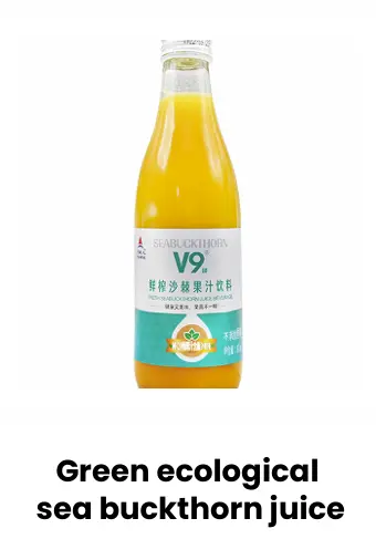 V9鲜榨沙棘果汁饮料